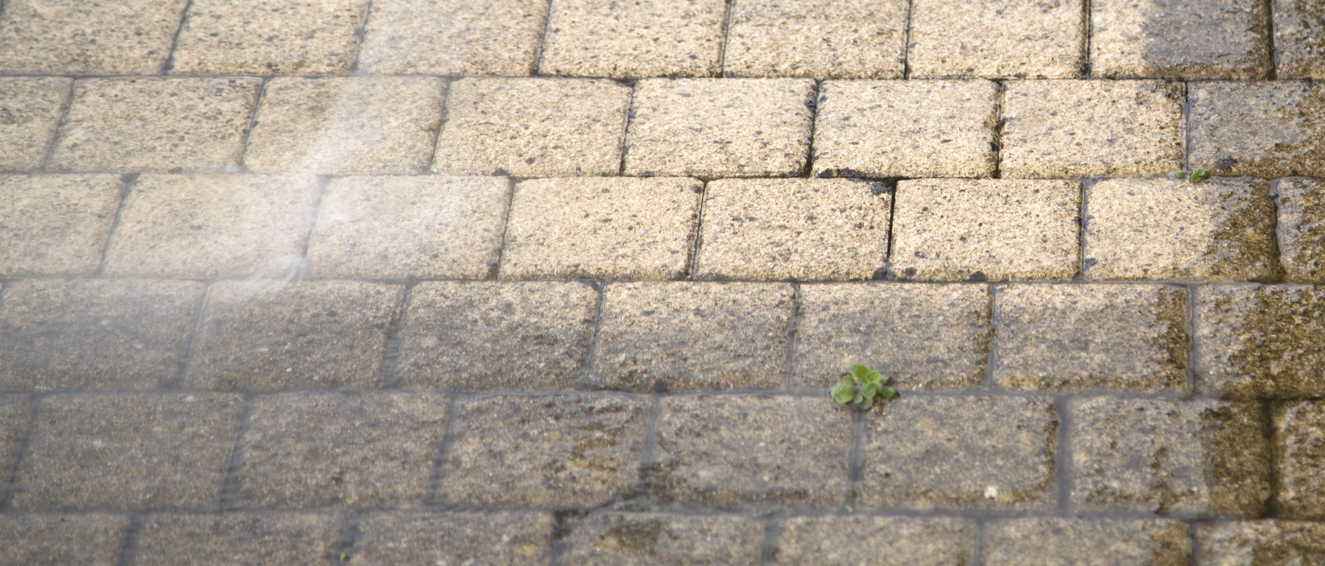 flagging and patios W2